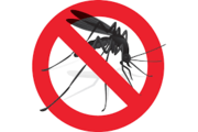 Manifestazione di interesse per l'affidamento del servizio di bio disinfestazione per il contenimento delle zanzare e per la riduzione della proliferazione incontrollata di specie infestanti per l'anno 2023.